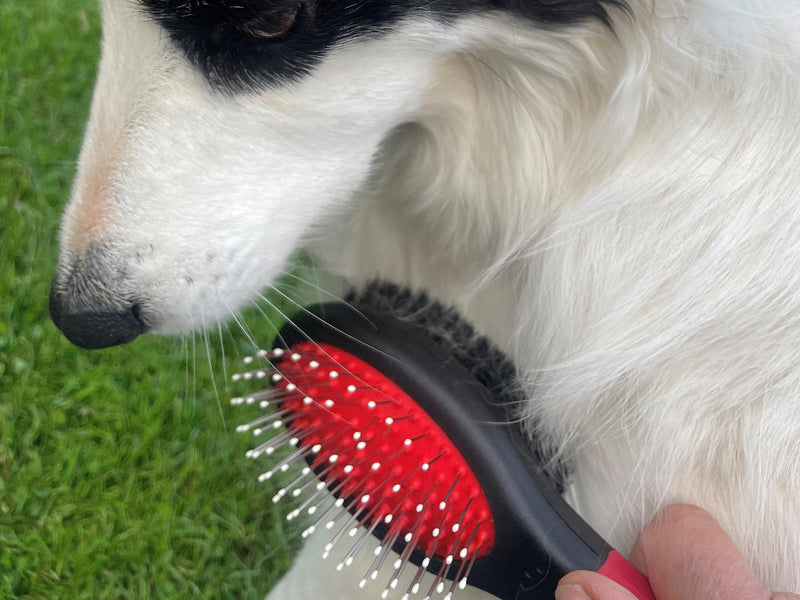 Masterclip Essentials Pet Grooming Set for Dogs Cats - Contains 8 Everyday Grooming Accessories; Dematting Comb, Nail Clippers, Nail Claw File, Double Sided Brushes & Comb, Grooming Glove & Flea Comb