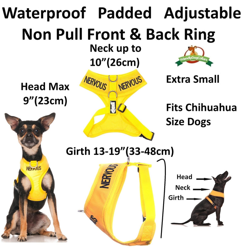 Dexil Limited Nervous (Give Me Space) Yellow Color Coded Non-Pull Front and Back D Ring Padded and Waterproof Vest Dog Harness Prevents Accidents by Warning Others of Your Dog in Advance (XS) - PawsPlanet Australia