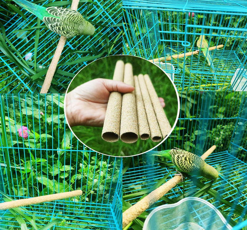 20-Pack Sanded Perch Covers for Parakeets - Bird Perchs Covers 7.5" L x 3/8" D Bird perches for Parakeets, Lovebirds, Parrotlets, Canaries and Other Small Birds (20pcs Small 7.5" L x 3/8" D) 20pcs Small 7.5" L x 3/8" D