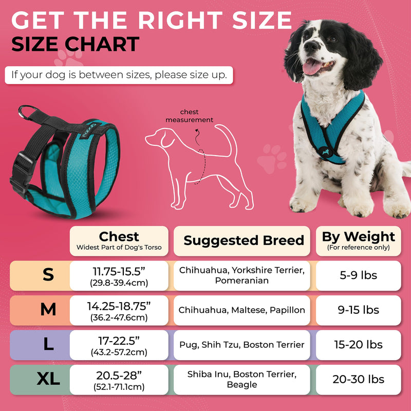 Gooby Comfort X Head-in Harness – Medium Dog Harness (9–15 lbs), Turquoise, No Pull, Choke-Free Design Medium Chest (14.25-18.75") - PawsPlanet Australia