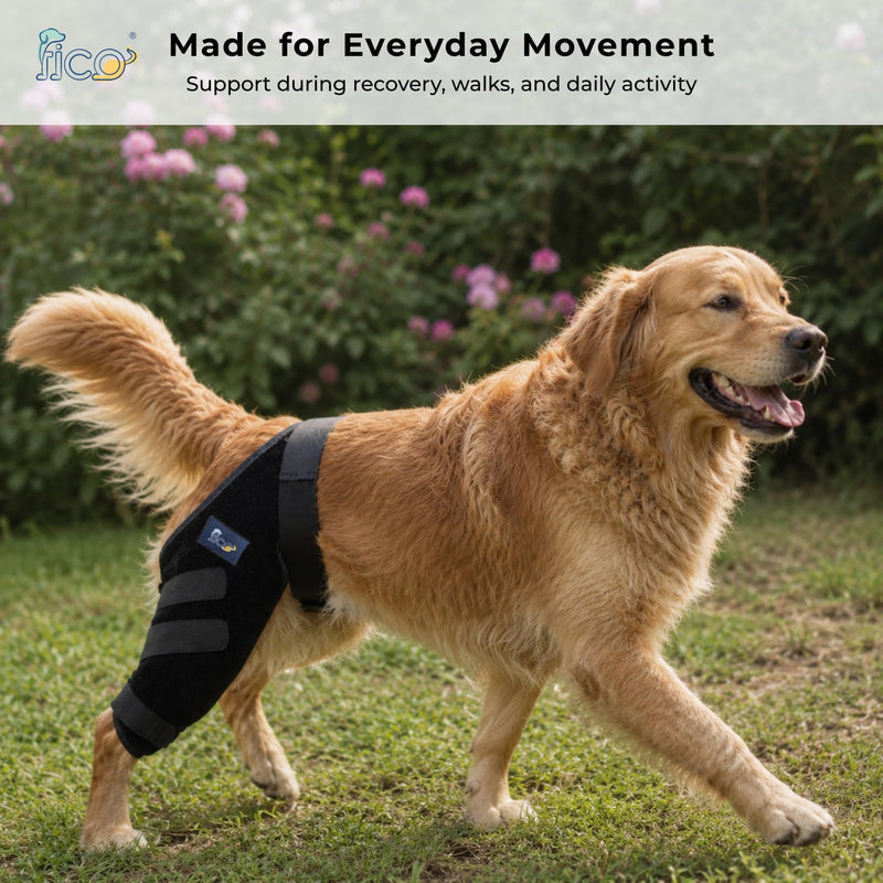 Dog Knee Brace for Hind Leg Support - Left Leg, CCL ACL Brace for Dogs, Vet Approved, Adjustable Orthopedic Support for Arthritis, Ligament Injuries & Post-TPLO Surgery Recovery (Small) Small