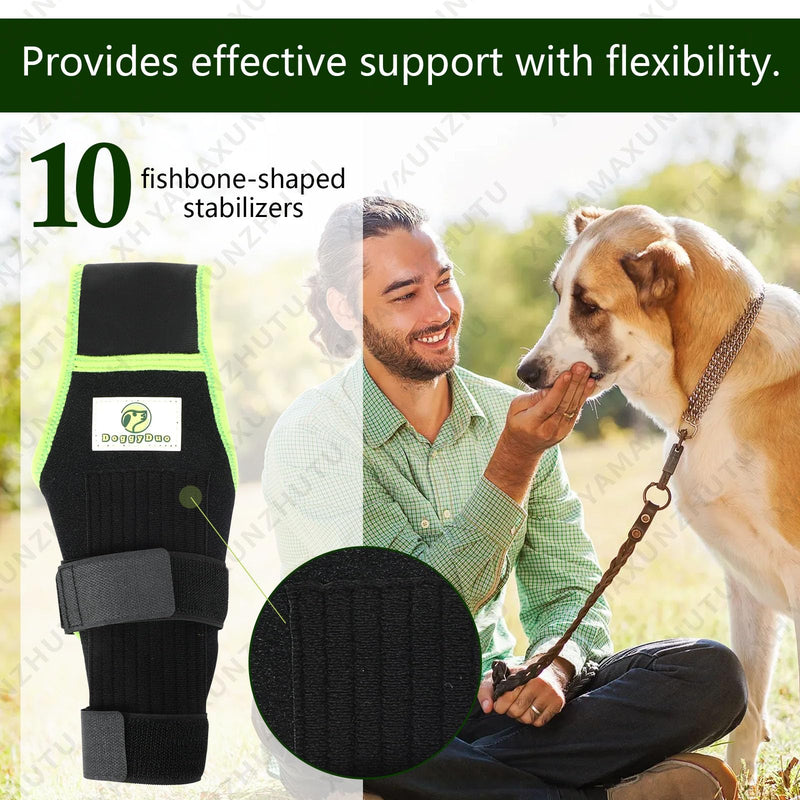 Dog Knee Brace for Hind Legs with Extra Collar & Strap - Relieves Joint Pain & Discomfort, Enhances Mobility | Supports Recovery from Osteoarthritis, Torn ACL/CCL, Luxating Patella | Adjustable (L) Large - PawsPlanet Australia