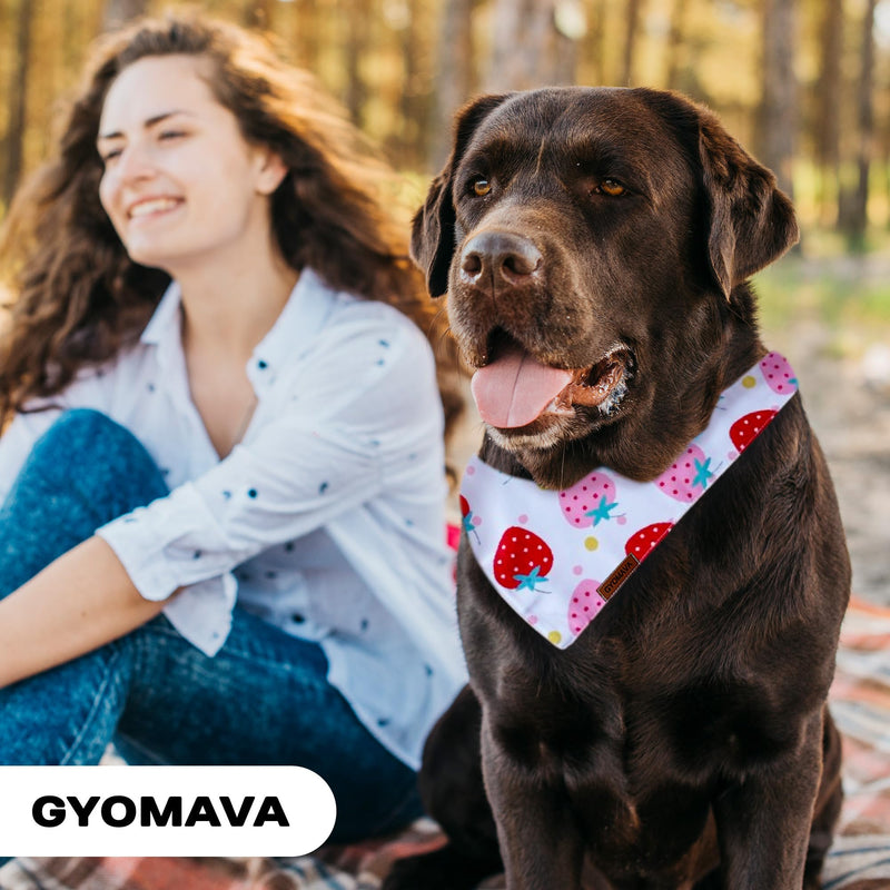GYOMAVA® Summer Dog Bandana – Reversible Puppy Bandana for Boy & Girl – Stylized Triangle Scarf – Soft, Washable, Lightweight – for Small, Medium, Large & XL Dogs, Outdoor Pet Accessory Small-Medium - PawsPlanet Australia