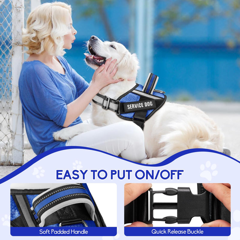 Service Dog Vest Harness and Leash Set, Animire in Training Dog Harness with 10 Dog Patches, Reflective Dog Leash with Soft Padded Handle for Small, Medium, Large, and Extra-Large Dogs (Blue, XS) Blue - PawsPlanet Australia