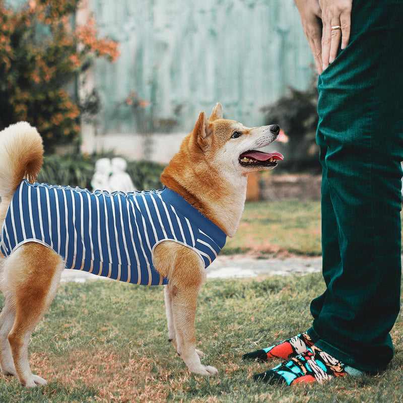 Recovery Suit for Dogs, Surgical Recovery Suit for Dogs Cats After Surgery, Cone E-Collar Alternative, Post-Operative Abdominal Wound Protector, Prevent Licking for Dogs, Males, Pets M