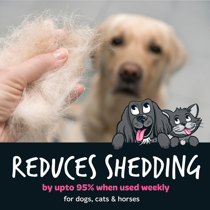 Bugalugs Deshedding Brush for Dogs, Cats, Horses - Pet Grooming Tool that is Gentle & Effective With Wide Shallow Comb, Smooth Groomer for Dog, Cat and Horse (Black) Black