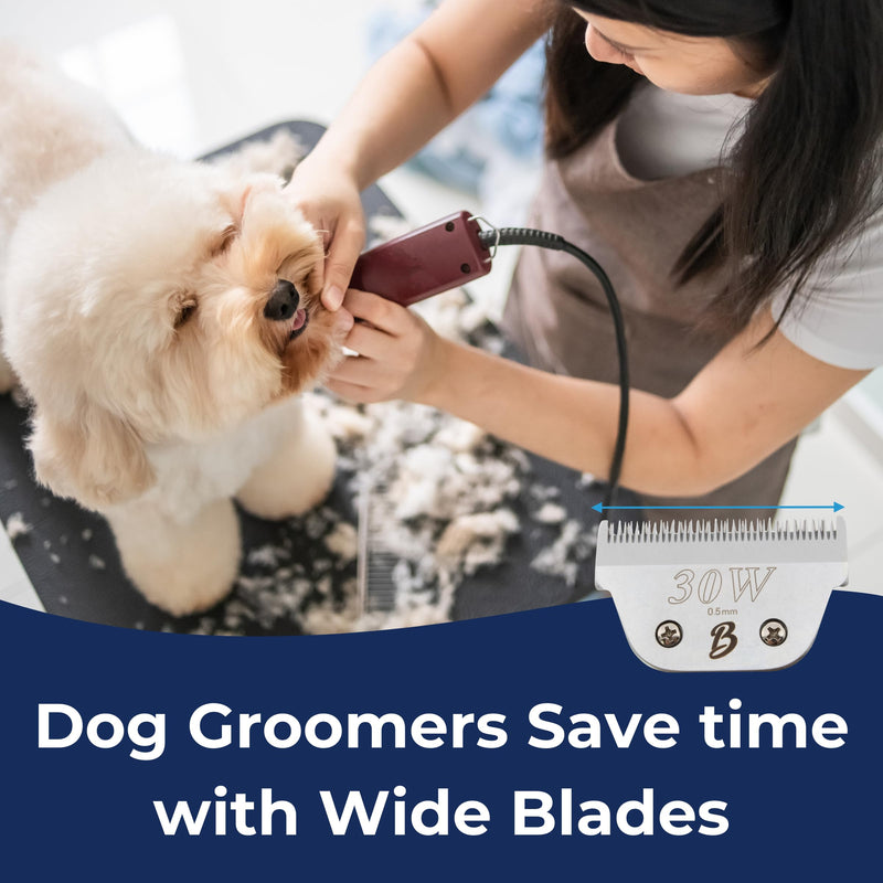 Detachable A Series Wide 30 Blades for Dog Grooming Cuts Length 1/50" - 0.5mm Japanese Carbonized Steel Wide Grooming Blades Compatible A5 Series Wide Clippers for Dogs(30W) 30W (1/50" - 0.5mm) - PawsPlanet Australia