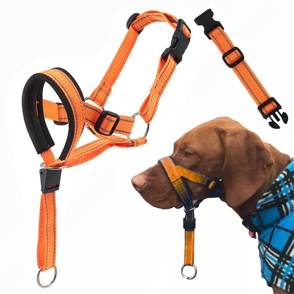 Dog Head Halter with Safety Strap - Headcollar - No-Pull Dog Collar – Perfect for Leash & Harness Training Medium and Large Dog Sizes (Size S (Pack of 1), Orange)