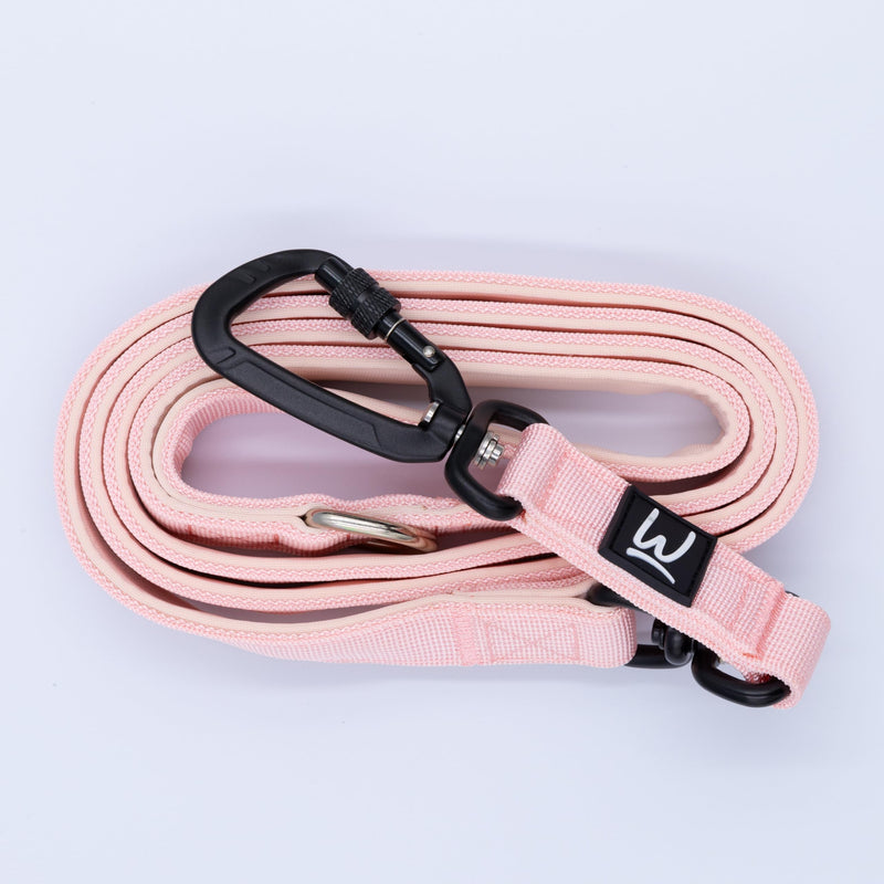 Tactical Dog Lead with Locking Carabiner Clip – Heavy Duty Nylon Dog Leash for Medium to Large Breeds – Soft Padded Handle – 160cm – Multiple Colors (Pink) Pink