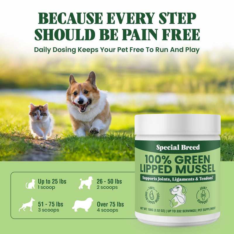 Special Breed Green Lipped Mussel Powder for Dogs & Cats - 100% New Zealand - Natural Hip & Joint Supplement for Joints, Tendons, Ligaments, Muscles - 100 Grams - Up to 332 Servings - PawsPlanet Australia