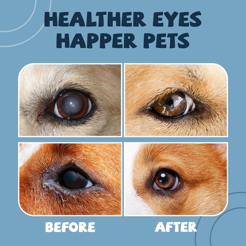Cataract Drops for Dogs, Dog Eye Drops, Effective Dog Eye Infection Treatment Dog Eye Cleaner Cataract Eye Drops, Improve Vision Clarity, Relieve Red Eyes & Allergy Symptoms(2 x 10 mL) - PawsPlanet Australia