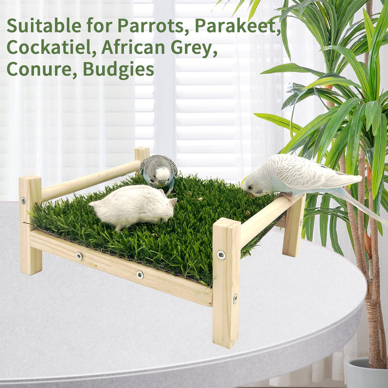 Bird Foraging Bed, Parrot Hammock Bed, Parrot Grass Perch Bed, Bird Perch Conure Platform Grass Forage Toy for Parakeet, Parrot, Cockatiel, Lovebird, Budgie