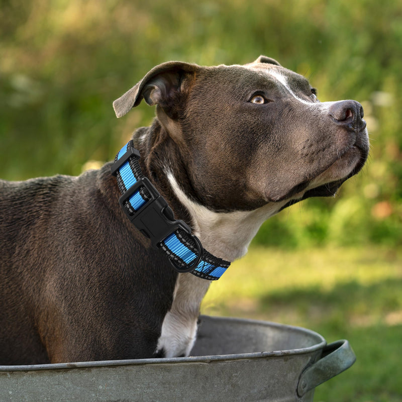 Mile High Life Dog Collar | Nylon Reflective Dog Collars | Light Weight Puppy Collars | Blue Dog Collars for Large Dogs (Blue, Large) Large (Pack of 1) 2 Reflective Line-Blue - PawsPlanet Australia
