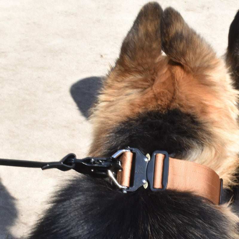 Heavy Duty Waterproof Dog Leash - Large Scissor Frog Quick Release Clasp, PVC Rubber Coated Nylon Training Lead for Large and X-Large Dogs, Odor Free, Durable, Easy to Clean, Nonslip Grip, Secure Hold 10FTLG BLACK PVC