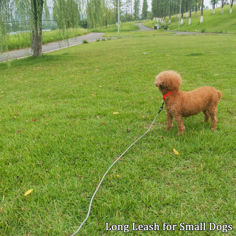WYuZe 1/5" Small Dog Leash Rope, 6/10/15 FT Lightweight Sturdy Thin Cat Leash for Puppy Weight Under 15lb Outdoor Walking Training (1/5" x 15 FT, Black) 1/5" x 15 FT - PawsPlanet Australia