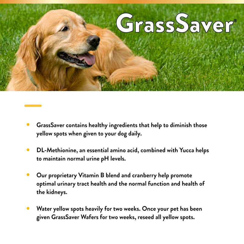 NaturVet – GrassSaver Wafers for Dogs Plus Enzymes – 300 Wafers – Healthy Supplement to Help Rid Your Lawn of Yellow Spots – Synergistic Combination of B-Complex Vitamins & Amino Acids