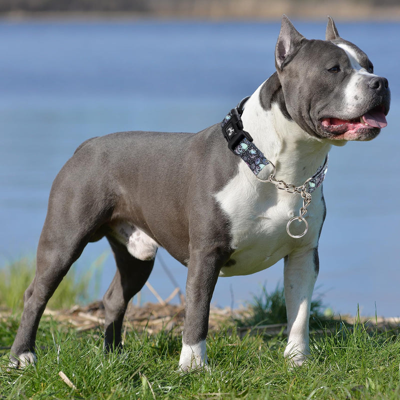 Martingale Collar - Reflective Nylon with Padded Comfort & Quick Release Buckle - Skull Design, No Slip Choke Heavy Duty Collar for Safe Training, Walking & Nighttime Use M 4 M (Neck 14"-18") - PawsPlanet Australia