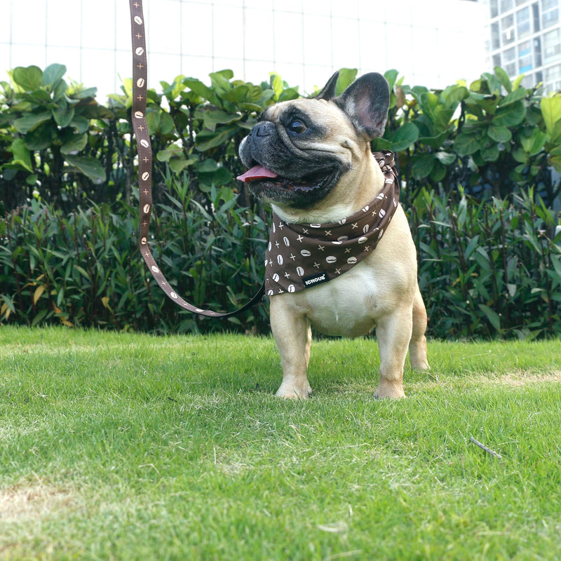 iChoue Original Print French Bulldog Collar with Leash Bandana Set Padded Adjustable for Frenchie Pug English Boston Terrier Dogs, Coffee Bean, Small Small ( 5 - 25 lbs ) Collar with Leash Bandana Coffee Bean