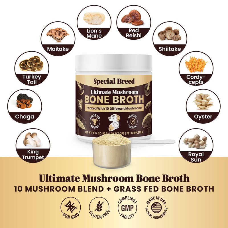 Beef Bone Broth for Dogs - High Protein Powder with Ten Organic Mushrooms & Collagen - Immune, Joint, Digestion & Cognitive Support - Tasty Dog Food Topper - Natural Hydration Booster 3.17oz