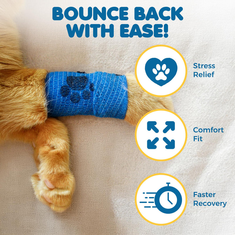 SunGrow Cat Self-Adhesive Bandage, Wound Care, Cuts, Post-Surgery, Hot Spots, 2”(W), Stretchable from 4” to 7”, Breathable Vet Wrap Gauze, 2 Rolls Per Color (Yellow, Blue, Green), 6 Pcs Per Pack - PawsPlanet Australia