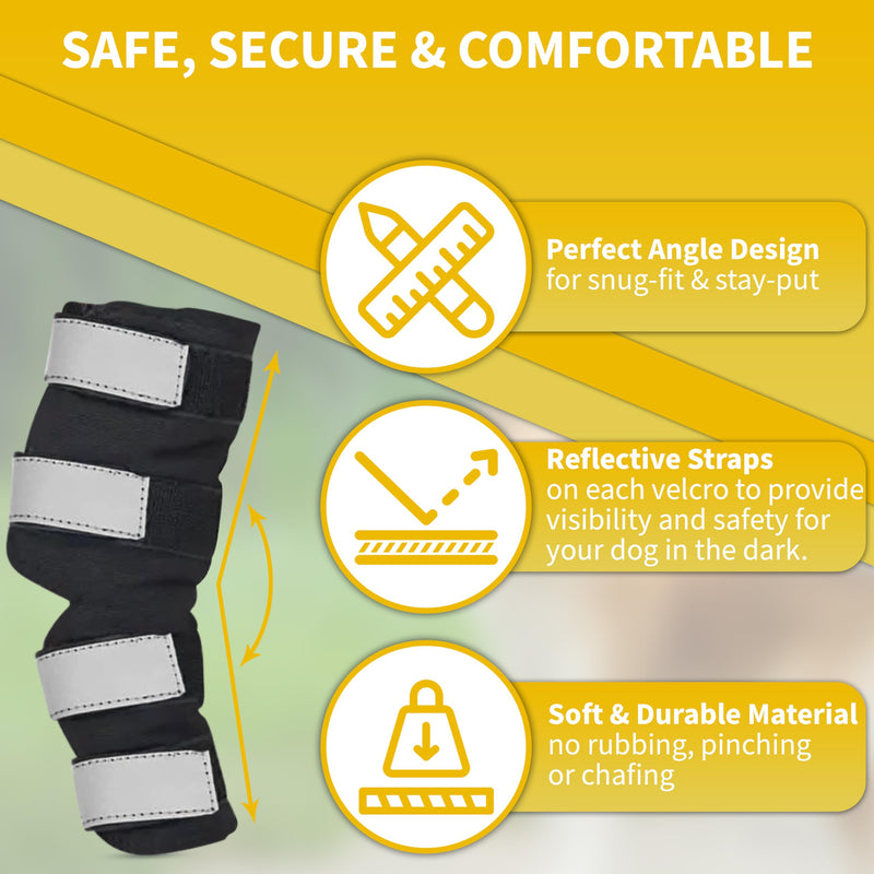 AGON Dog Hock Brace Supportive Pair Hock Joint Brace with Metal Strings and Reflective Wraps Compression Straps Canine Back Leg Protects Wounds. Heals Injuries Sprains Loss Stability by Arthritis Extra Large - PawsPlanet Australia