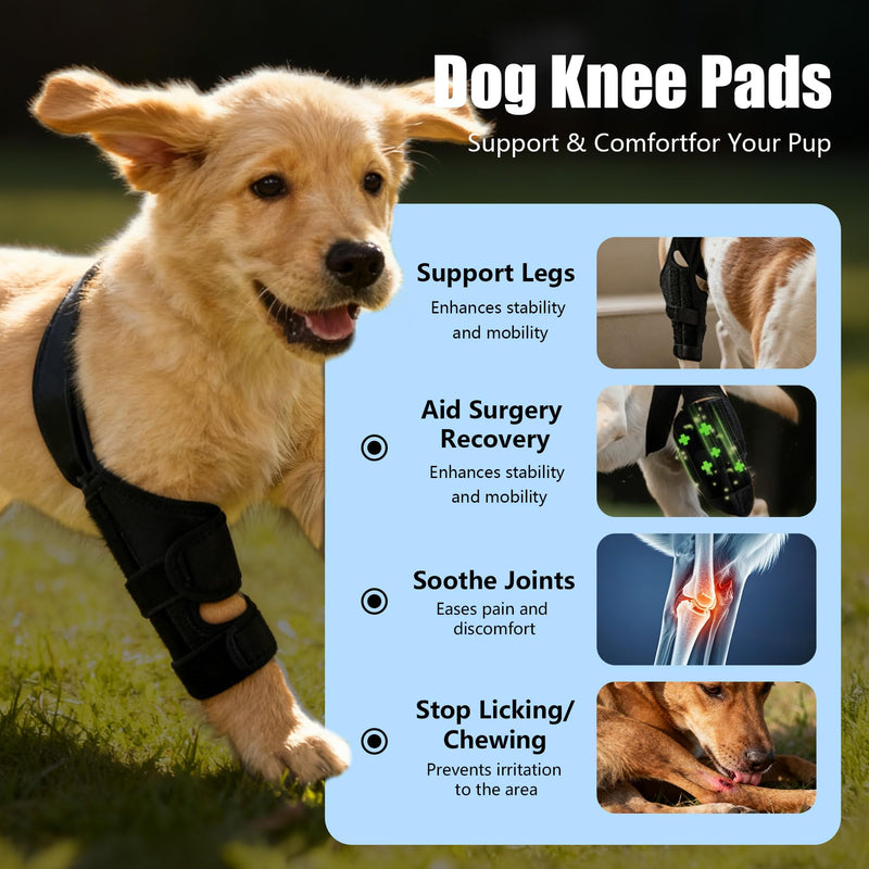 Dog Knee Brace for Torn ACL/CCL & Hind Leg Support - 13 -M