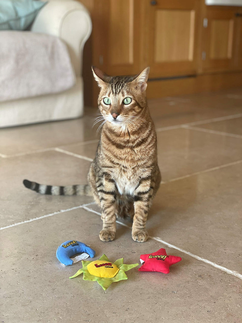 YEOWWW Rainbow Cat Toy Purple 3 Count (Pack of 1) - PawsPlanet Australia