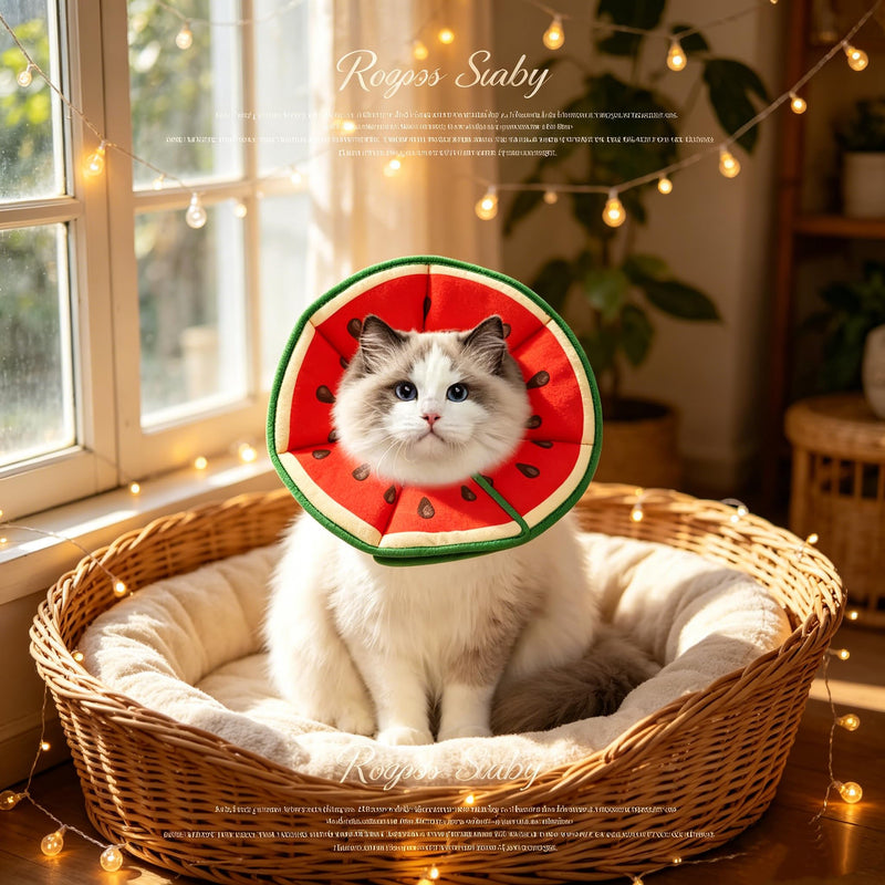 Soft Cat Cone Collar, Watermelon Shape Cat Recovery Collar to Stop Licking, Adjustable Cats Cones, Preventing Licking and Scratching After Surgery Is Suitable for Puppies and Cats to Recover(M)