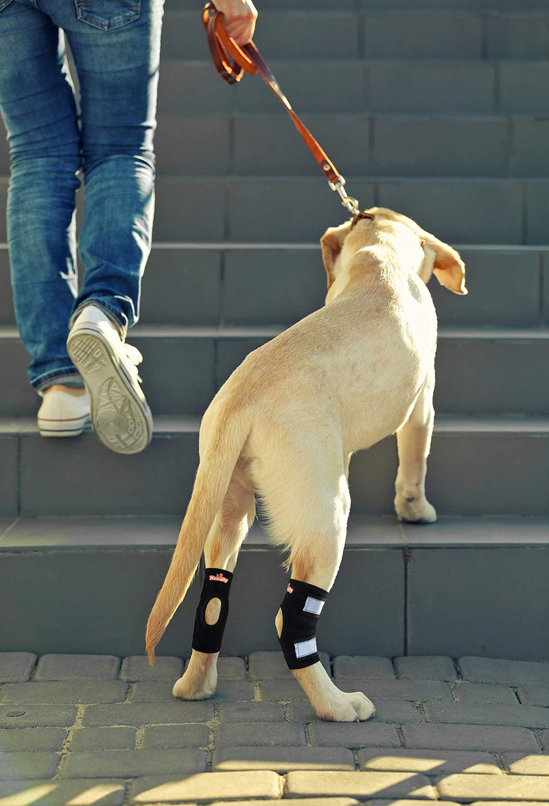 NeoAlly Cat and Dog Ankle Brace Pair Canine Rear Leg Hock Support with Safety Reflective Straps for Hind Leg Wounds Heal and Injuries and Sprains from Arthritis (XS Pair) XS (1 Pair) Black