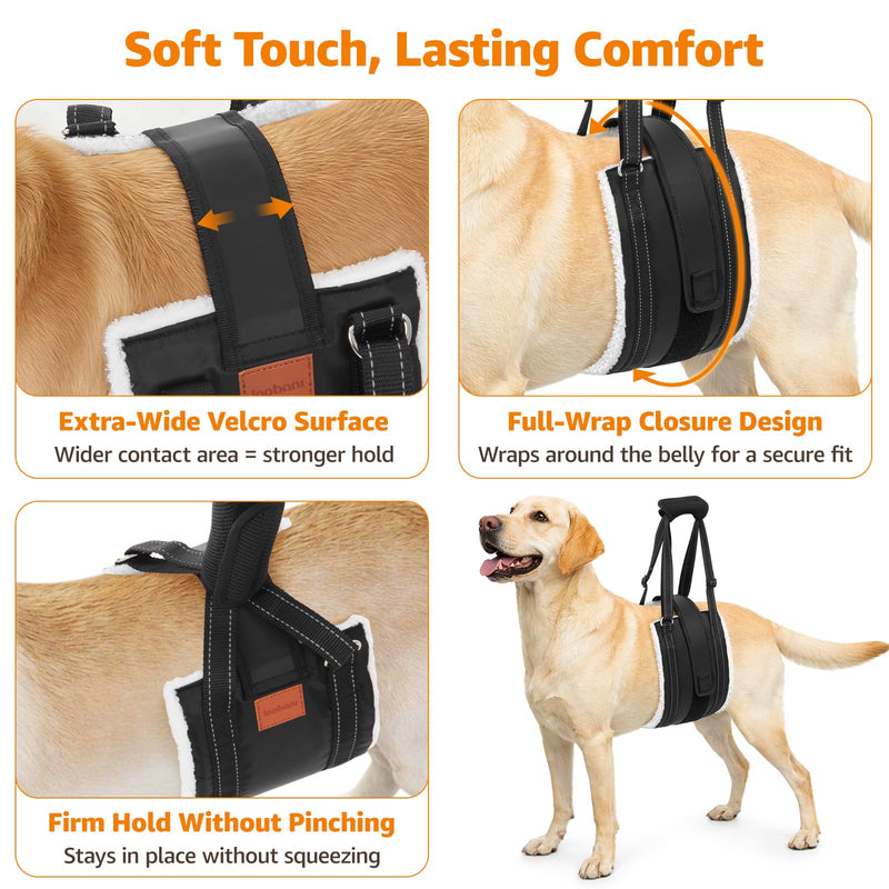 LOOBANI Dog Lift Harness for Back Legs, Portable Dog Sling for Large Dogs Hind Leg Support, Comfortable Leg Support Assistance for Elderly Dogs with Hip, ACL Brace, Senior, Injured - PawsPlanet Australia