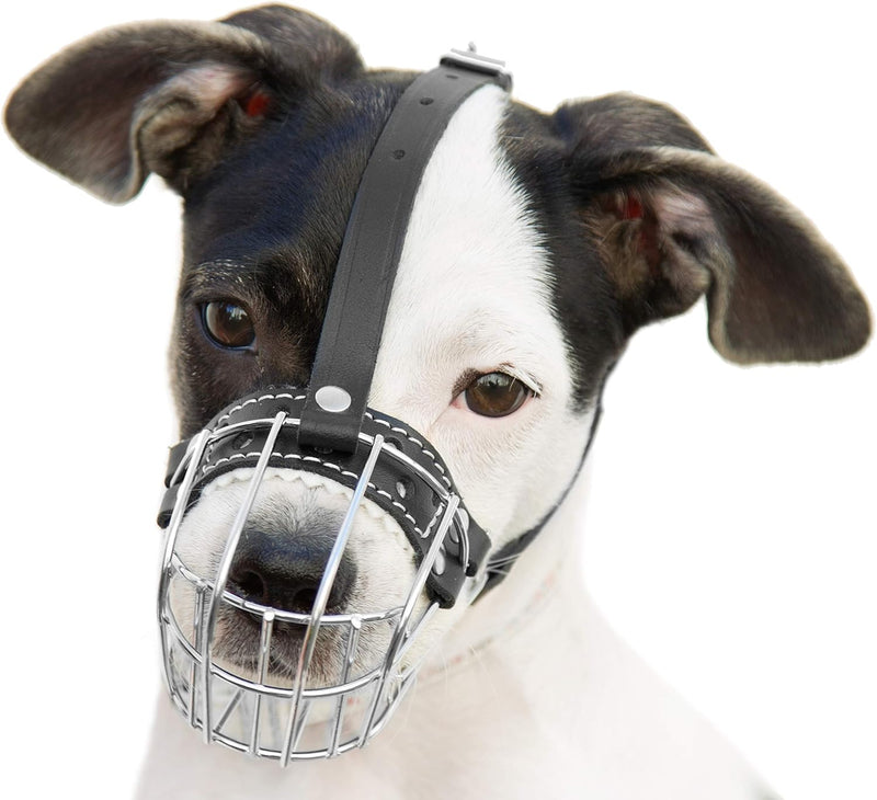 Dog Chrome Metal Muzzles Wire Basket Adjustable Leather Straps Сircumference is 6.6-8.2 in the Length is 1.9-2.3 in0