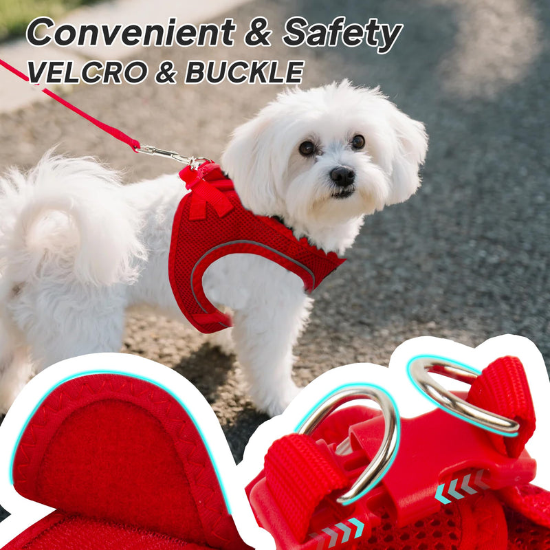 PetiFine Step in Small Dog Harness and Leash Set, Breathable All Weather Air Mesh Reflective Escape Proof, Step-in Vest Harnesses for Puppy(S, Red) S | Neck: 12.6''-13.8'' Chest:16.1''-17.7'' | - PawsPlanet Australia