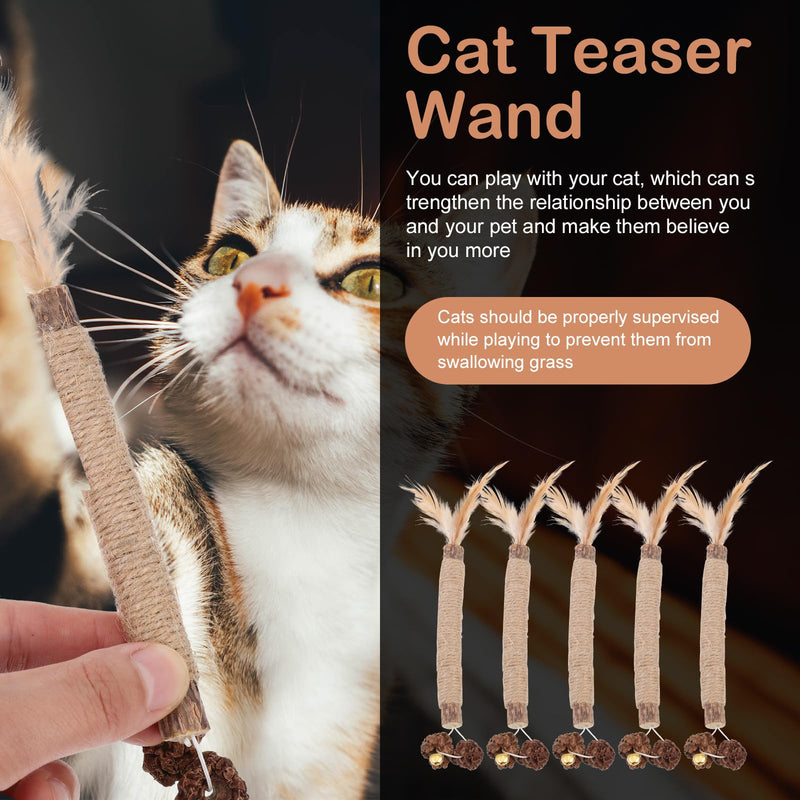 Luxshiny Interactive Chew Toys for Cats, 5 Pieces, Made of Synthetic Material for Dental Health and Playful Entertainment for Kittens and Pets