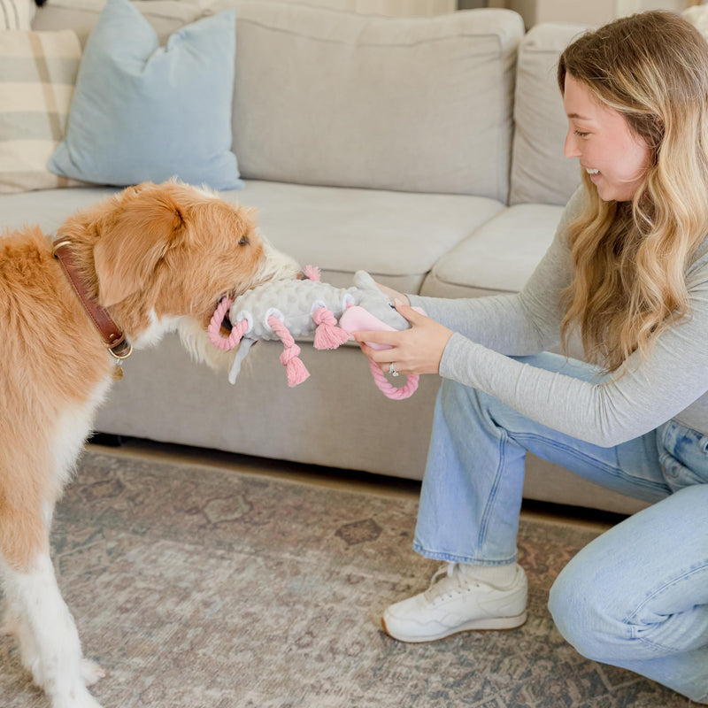 Squeaky Dog Stuffed Animals Chew Toy - Crinkle Paper Tug of War Rope Plush Dog Toy - Soft Tough Squeaker Dog Entertainment Toys for Home Alone - Fun Boredom Busters for Dogs - Elephant - PawsPlanet Australia