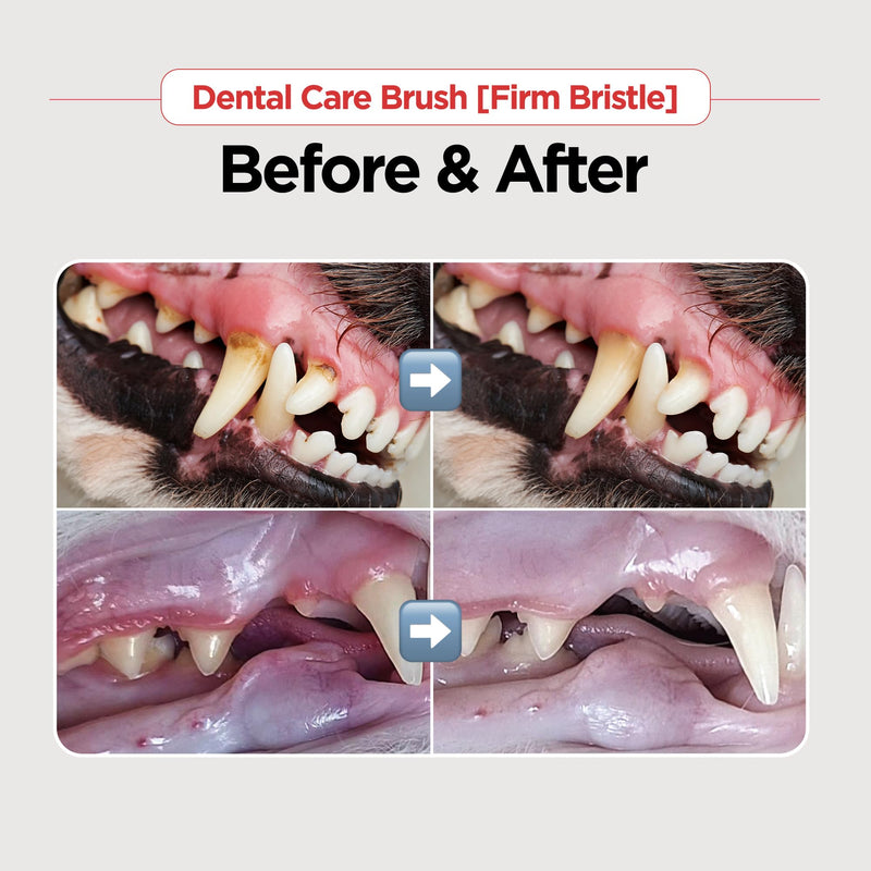 JAYU PET Dental Care Brush [Soft & Firm Bristles] - Toothbrush for Cat and Small Dogs, Removing Old Plaque and Tartar, Cat Dental Care, Cat Teeth Brushing & Easy Cleaning - PawsPlanet Australia