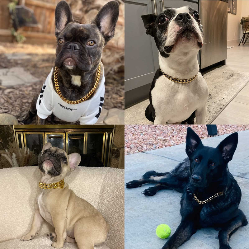 Stainless Steel Silver Gold Dog Collars with Safety Buckle Lock,18K Cuban Link Chain Training Collar,15MM Strong Dog Necklace Heavy Duty Chew Proof for Small Medium Large Dog 10 inch - PawsPlanet Australia