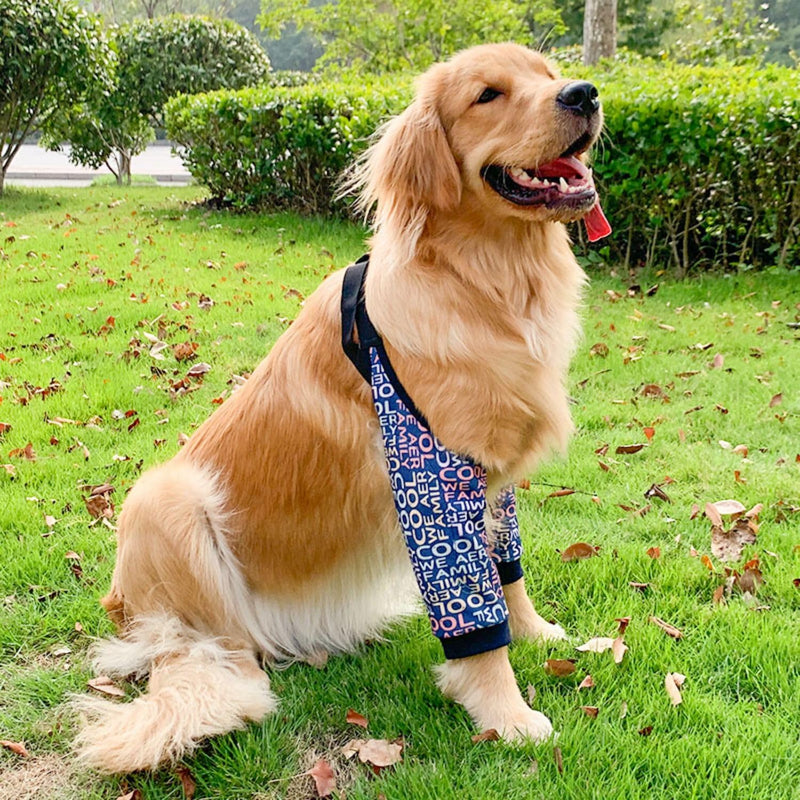 HDKUW Dog Elbow Protector, Dog Leg Recovery Sleeve for Prevent Licking Wound, Joint Sleeves with Mesh Pad for Medium Large Dogs Thickened Letters 2XL - PawsPlanet Australia