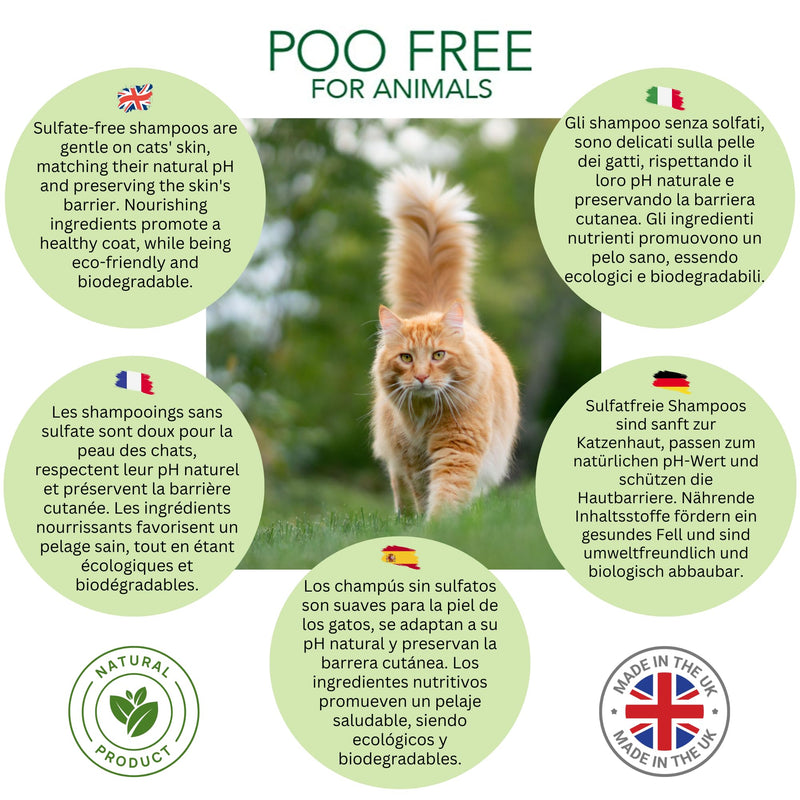 Catnip & Aloe Soothing Cat Shampoo – Gentle Purity & Playful Comfort – 99% Natural & pH Balanced – 250ml