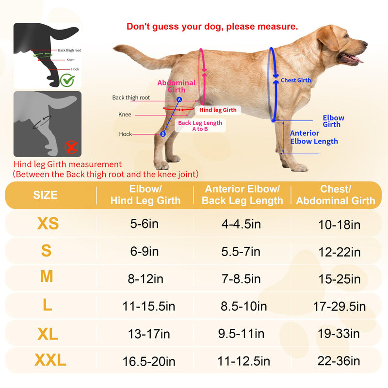 Dog Knee Brace for Torn ACL Hind Leg, Adjustable Dog ACL Braces Rear Leg or Front Legs with Cruciate Ligament Injuries, Support Brace for Back Legs, M