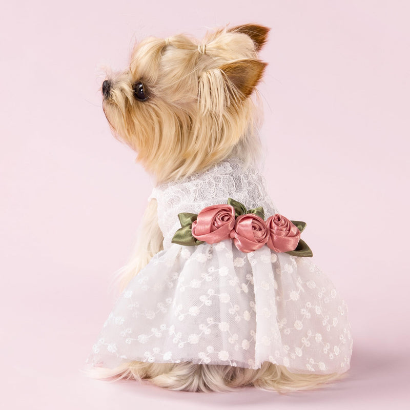 Fitwarm Luxury Rose Lace Pet Dog Weddding Dress Bride Clothes Formal Apparel, Medium White