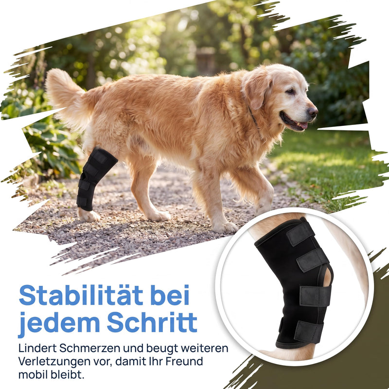 2 pcs√ºck ...