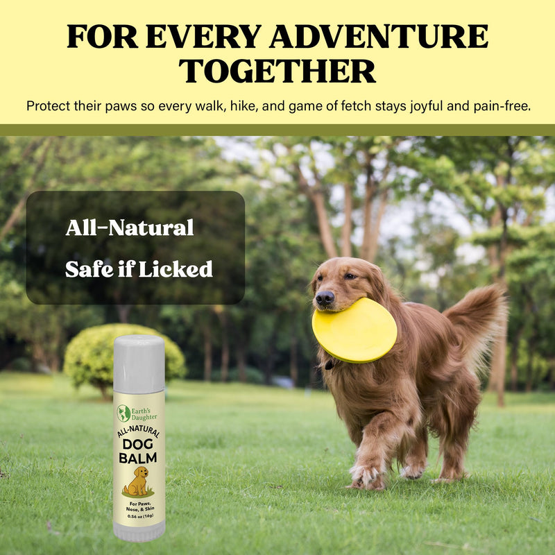 Earth’s Daughter Dog Paw Balm Big 0.56 oz – Organic Paw & Nose Protector with Beeswax, Coconut & Calendula – Itch Relief & Natural Skin Care for Dogs & Puppies – Travel Essential - PawsPlanet Australia
