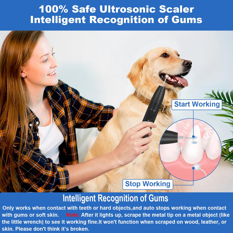 Dog Tooth Brushing Kit,Dogs Teeth Cleaning Kit with Light,3 Modes Doggie Plaque and Tartar Remover for Teeth,Low Noise Dog Teeth Cleaner and Dental Care,Black - PawsPlanet Australia