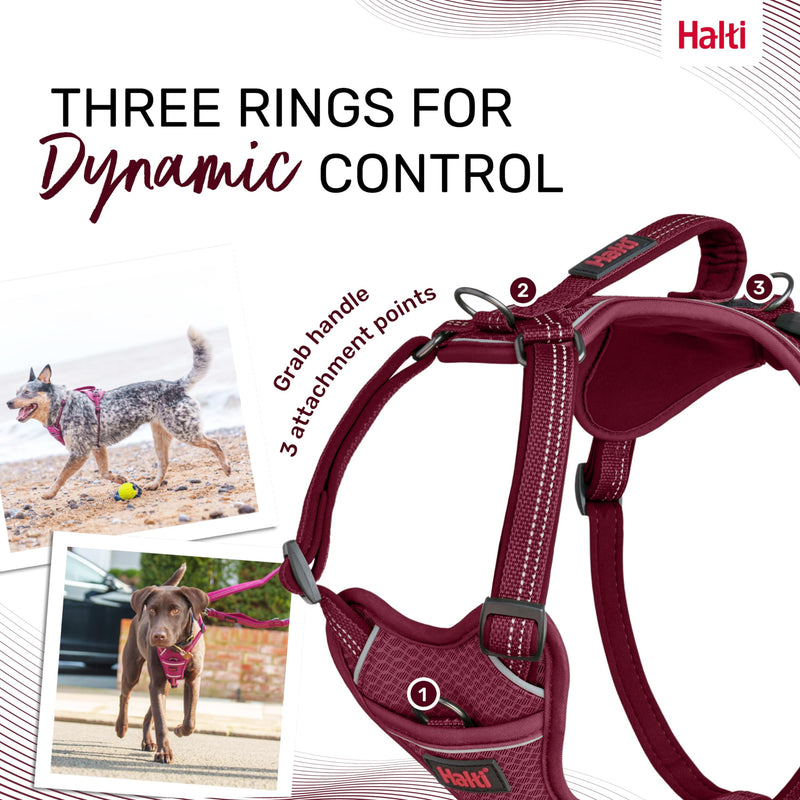 HALTI Anatomy Dog Harness with Handle - Provides Your Dog Freedom of Movement for Comfortable Walking. 3 Leash Attachment Points, Neoprene Padded, Adjustable, and Reflective (Size Medium, Magenta) M - PawsPlanet Australia