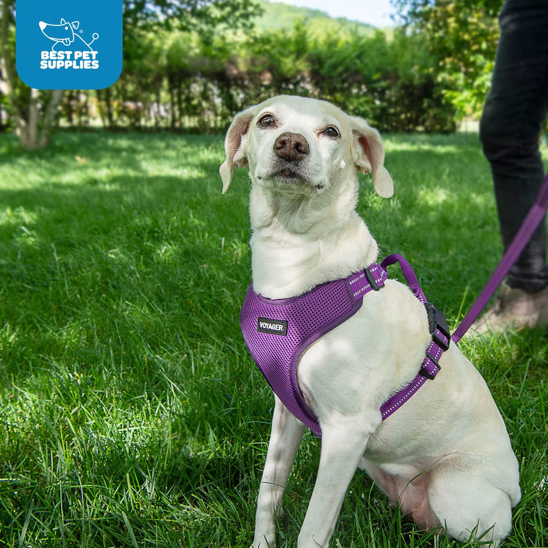 Air Frontier Mesh Dog Harness with Steel Leash D-Ring, Reflective Stitching, and Lightweight Breathable No-Pull Design, Adjustable Neck and Chest Straps for Small to Large Breeds - PPW, XS XS (Chest: 13 - 16") Harness (Purple Mesh) - PawsPlanet Australia