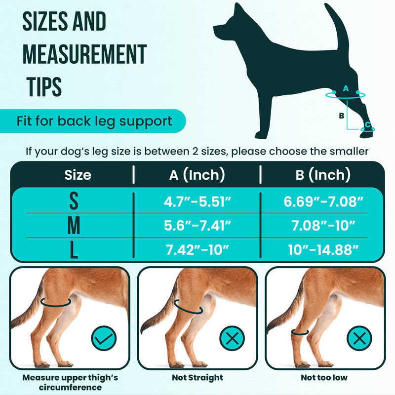 Dog Leg Braces for Back Leg - Dog Knee Brace For Support With Cruciate Ligament Injury, Joint Pain And Muscle Sore,- Dog Knee Brace for Torn ACL Hind Leg Adjustable Rear Leg Braces (Large) Large - PawsPlanet Australia