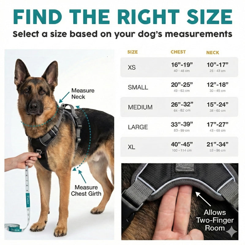 Embark Pets Adventure Dog Harness, No Pull Dog Harness with 2 Leash Clips, for Small Dogs Anti Pull Front & Back with Control Handle, Adjustable, Soft & Padded Black S (Chest: 44-59 cm)