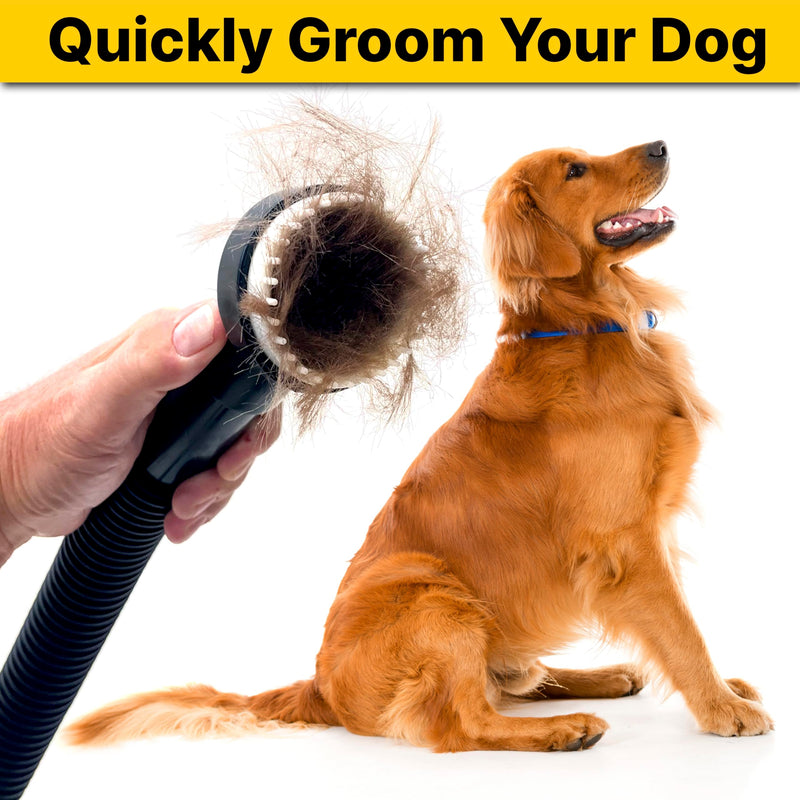 Shop-Vac 9190400 Dog Grooming Tool, 1.25 Inch Diameter, Soft Bristles for Gentle Pet Grooming and Vacuuming, (1-Pack) 1-1/4-Inch - PawsPlanet Australia