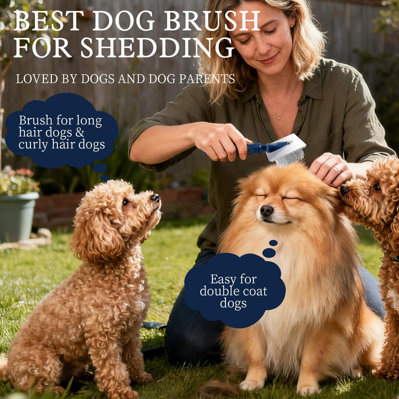 Gentle Slicker Dog Brush with Ball Pins,Soothing Massage & Detangling Tool for Sensitive Skin,Professional Grooming Brush for Long & Curly Haired Dogs & Cats, Ideal for Goldendoodles,Poodles, Home Use - PawsPlanet Australia