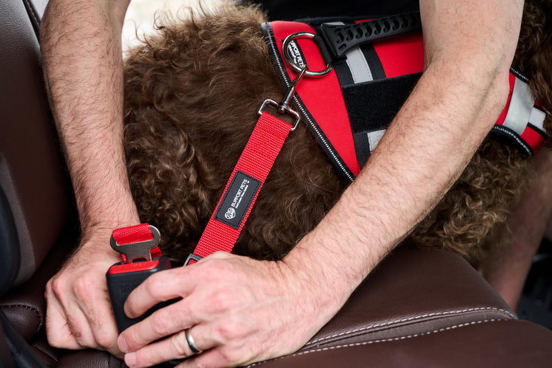 Support Pets Dog Seat Belt for Car – Adjustable Dog Safety Seatbelt Harness for Dogs & Puppies – Vehicle Seatbelt Clip for Secure Pet Travel – Durable Dog Accessories & Travel Restraint – Red 1 Pack - PawsPlanet Australia
